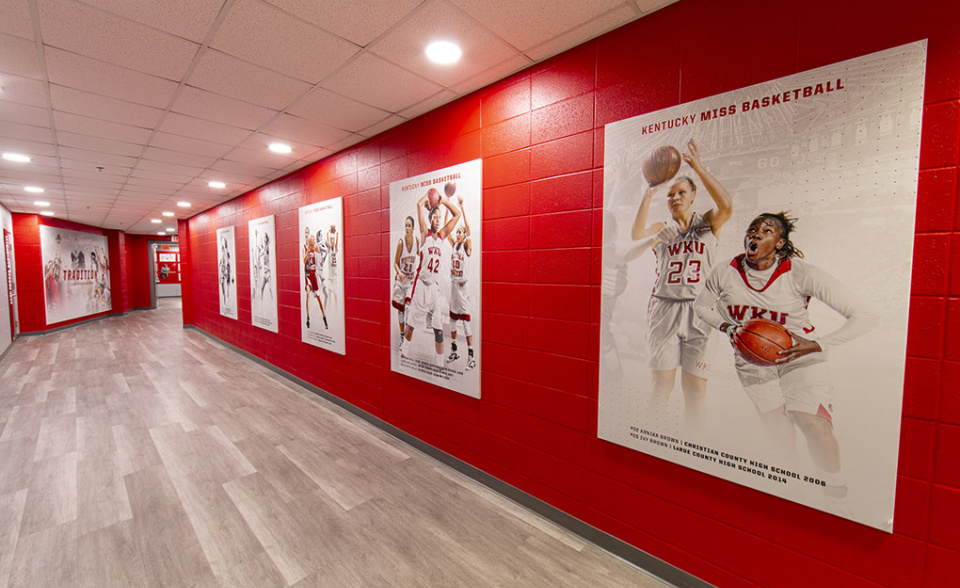 Western Kentucky University, Basketball and Volleyball