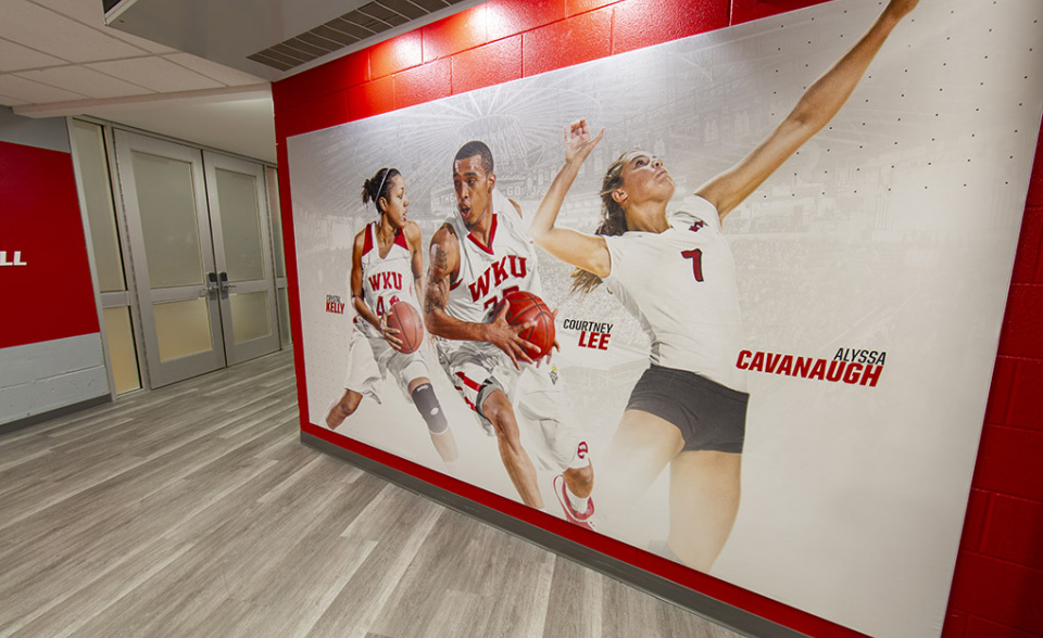 Western Kentucky University, Basketball and Volleyball