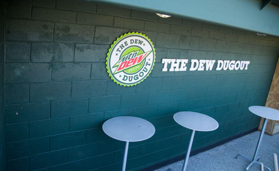 Greenville Drive Fluor Field