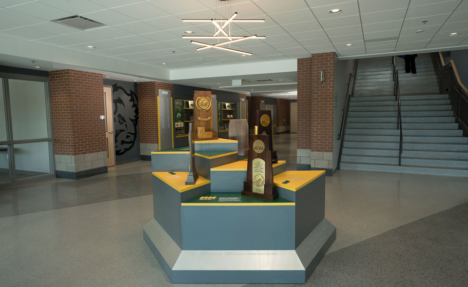 Trophy Display