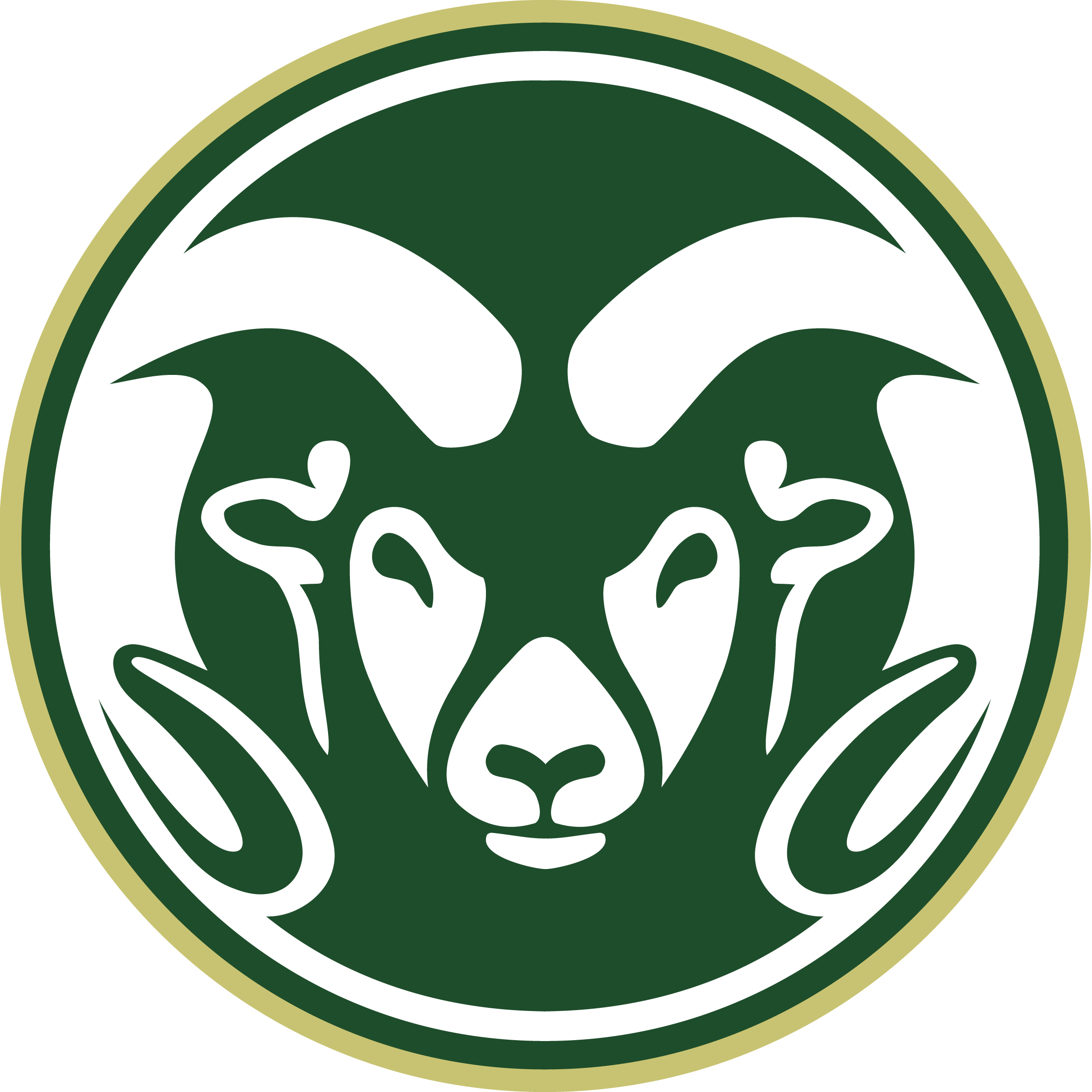 CSU Logo (1)