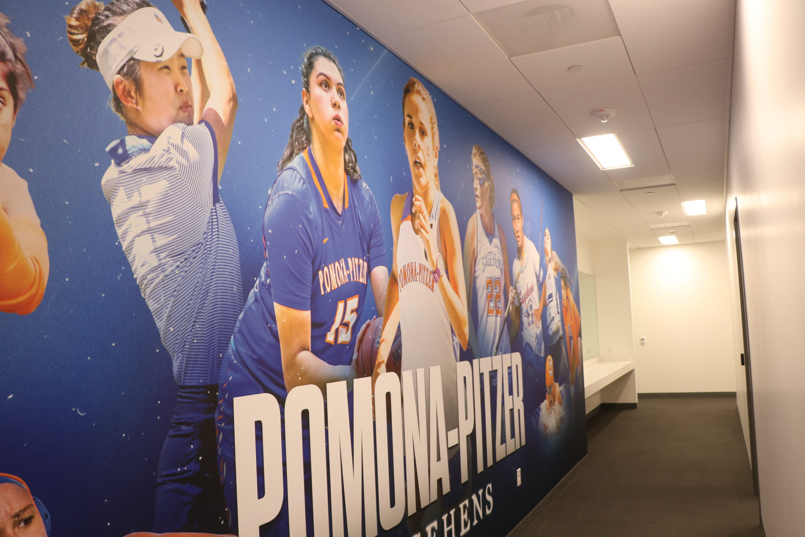 Women's Sports Wall Display