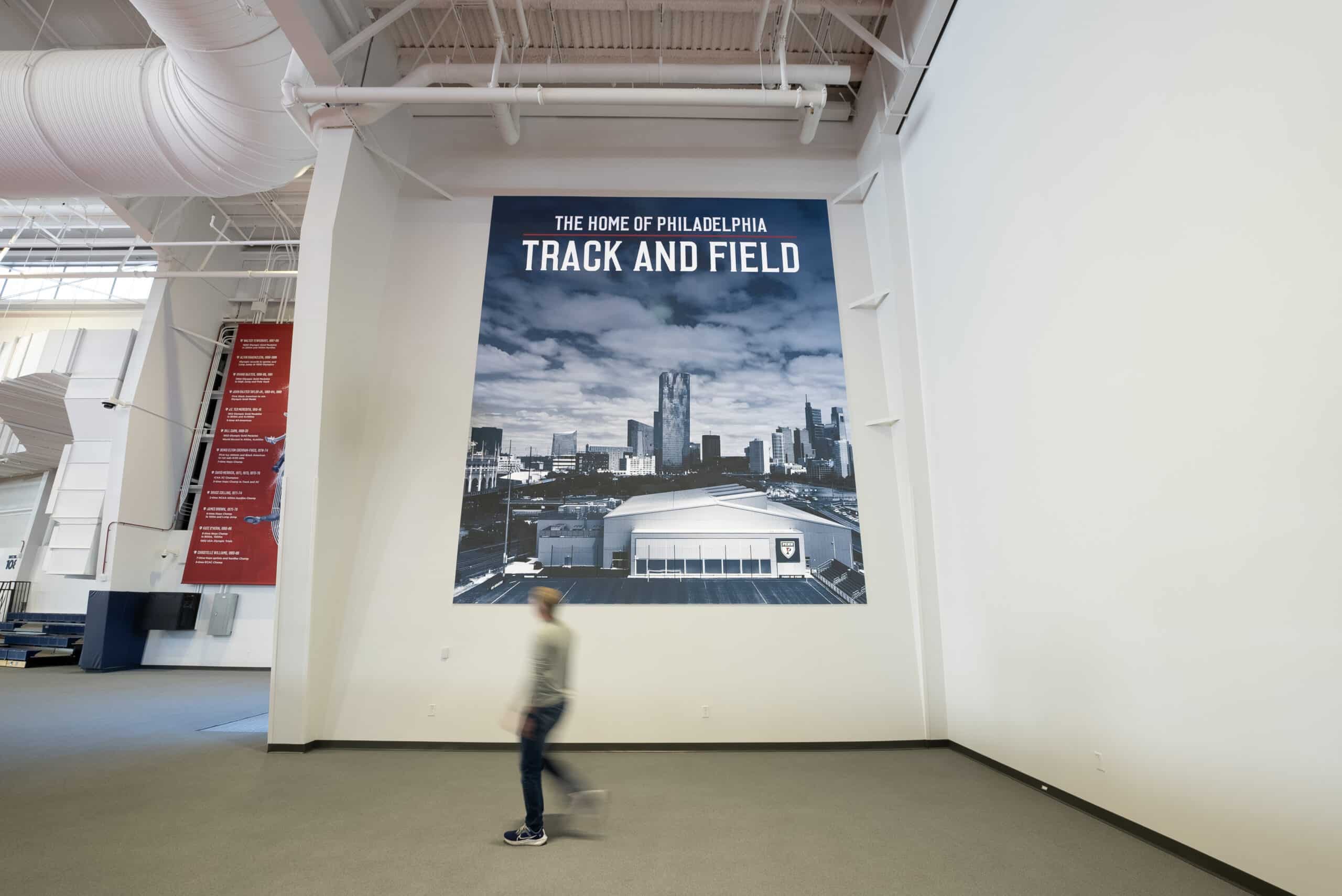 Wall Graphic and Storytelling